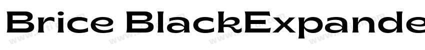 Brice BlackExpanded字体转换
